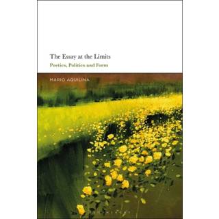 The Essay At the Limits