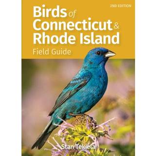 Birds of Connecticut Field Guide