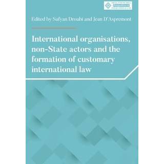 International Organisations, Non-State Actors, and the Formation of Customary International Law