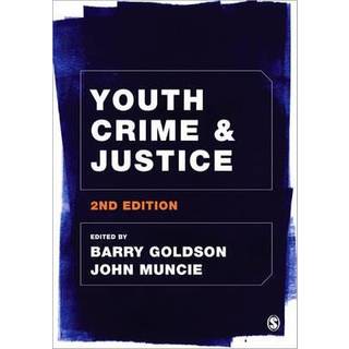 Youth Crime and Justice