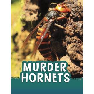 Murder Hornets