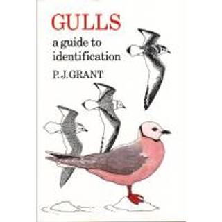 Gulls: A Guide to Identification. 2nd Edition