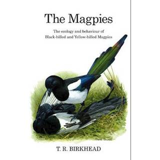 The Magpies: The Ecology and Behaviour of Black-Billed and Yellow-Billed Magpies