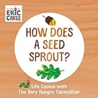 How Does a Seed Sprout?