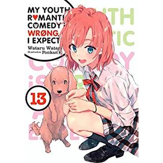 My Youth Romantic Comedy Is Wrong, As I Expected, Vol. 13 (light novel)