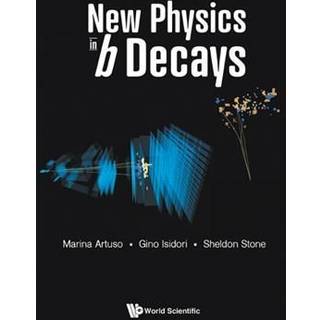 New Physics In B Decays