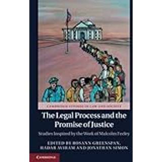The Legal Process and the Promise of Justice