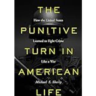 The Punitive Turn in American Life