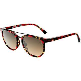 Etnia Barcelona Sert Sun HVRD 52 Solbriller Kvinder Tortoiseshell - Tortoise - 52mm
