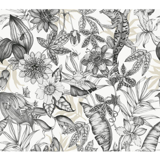 York Wallpaper Rainforest BL1703