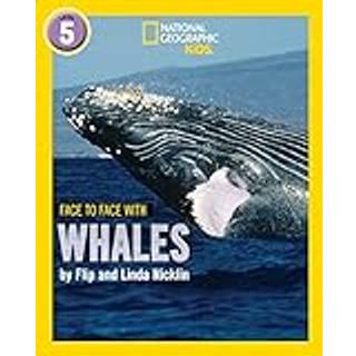 Face to Face with Whales