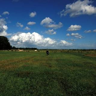 Biosphere - Hilvarenbeek Recordings