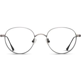 Taylor Morris SW5 C3 48 Briller Mænd Silver - Matte Silver - 48mm