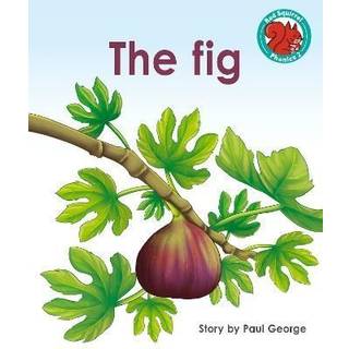 The Fig