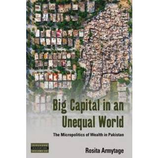 Big Capital in an Unequal World