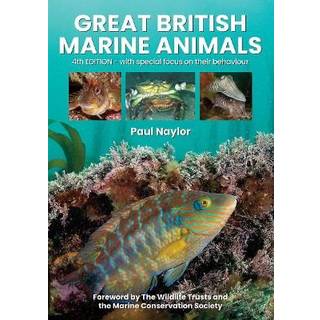 Great British Marine Animals