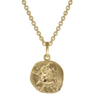 trendor 75905-12 Sternzeichen für Kinder Schütze Gold 333 Anhänger + Halskette