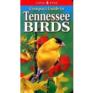 Compact Guide to Tennessee Birds