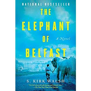 The Elephant of Belfast