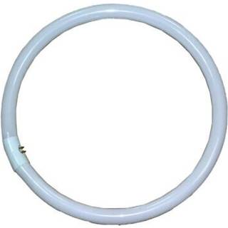 Falcon Eyes Ring lamp 40W for RFL-3