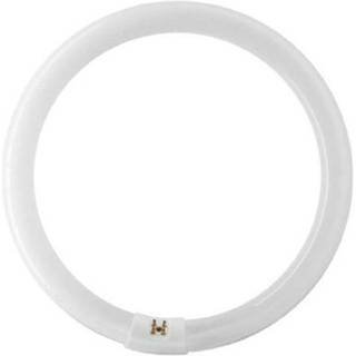 Falcon Eyes Replacement ring lamp for FLC-65 65W