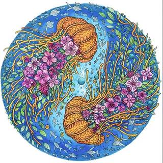 Kortærmet body med muslingeskal - Blå