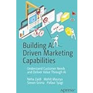 Building AI Driven Marketing Capabilities