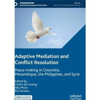 Adaptive Mediation and Conflict Resolution