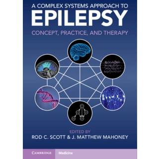 A Complex Systems Approach to Epilepsy