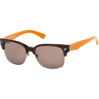Web Briller WE0101/S 52J 55 Solbriller Mænd Tortoiseshell - Tortoiseshell - 55mm