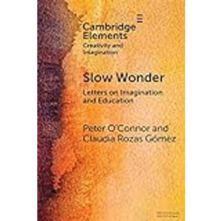 Slow Wonder