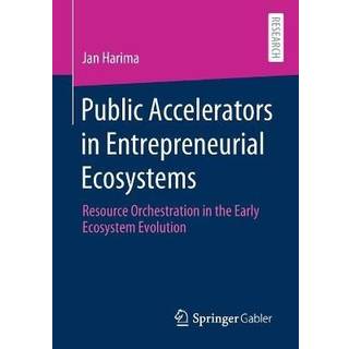 Public Accelerators in Entrepreneurial Ecosystems