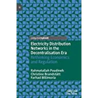 Electricity Distribution Networks in the Decentralisation Era