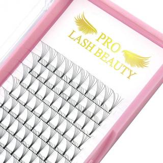Premade Volume Eyelash Extensions 5D-C-0.10-11 Kort Stem Premade Fans ?jenvippeforl?ngelser 9 til 20 mm Pre Made Lash Fans 3d 5d 7d Volume Lash E