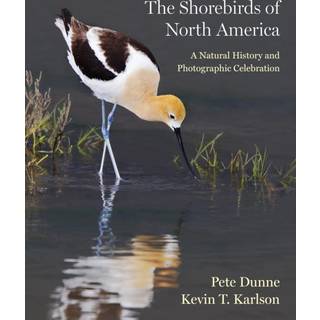 The Shorebirds of North America