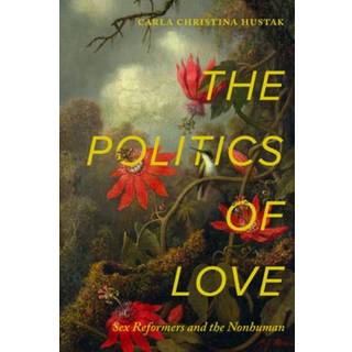 The Politics of Love