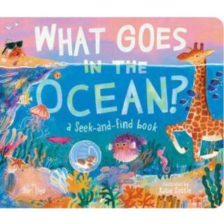What Goes in the Ocean?