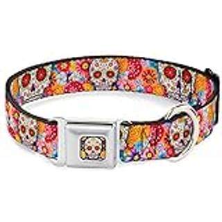 Hundekrage sikkerhedssele Buckle Sugar Skull Starburst White Multi Color 15 til 26 inches 1,0 tommer bred