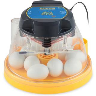 Brinsea MINI Eco Rugemaskine - 7-12 Æg