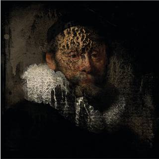 Rembrandt White
