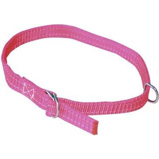 Fårehalsbånd 20mm 60cm rød