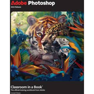 Adobe Photoshop Classroom in a Book 2024 Release