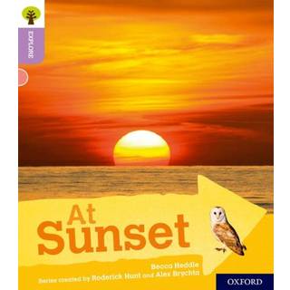 Oxford Reading Tree Explore with Biff, Chip and Kipper: Oxford Level 1+: At Sunset