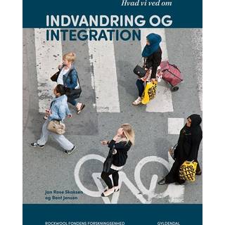 Hvad vi ved om indvandring og integration