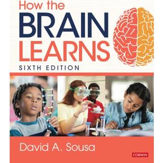 How the Brain Learns