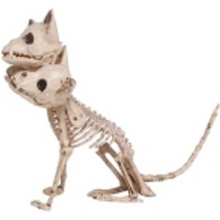 Hundeskelet med 3 hoveder