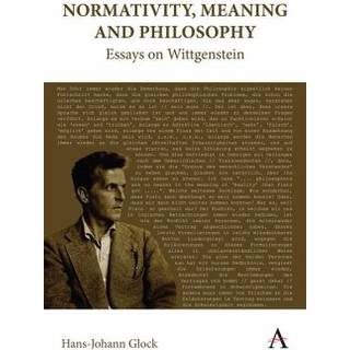 Normativity, Meaning and Philosophy: Essays on Wittgenstein