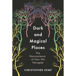 Dark and Magical Places