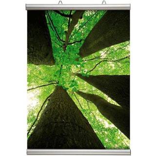 Poster-Line plakatlister i størrelsen 50 cm i farven alu