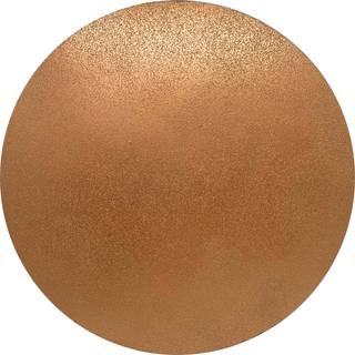 Carbide rondel, Ø225, korn 120 - til f.eks. girafslibere